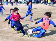 松葉ミニサッカー大会　1年～6年サッカー交歓